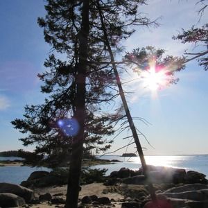 Meet your Posher, Claudia